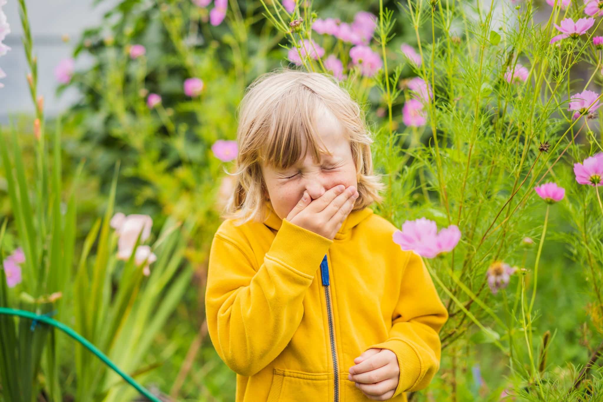 Toddler Seasonal Allergies